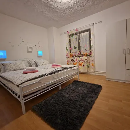 Apartment Sandro Motovun