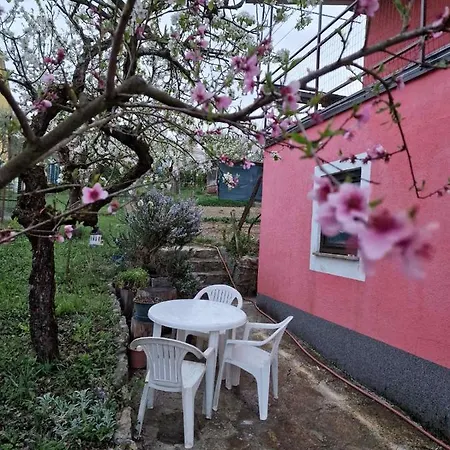 Apartment Sandro